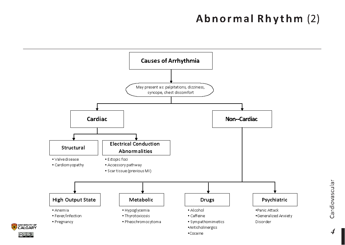 ABNORMAL RHYTHM (2) Scheme