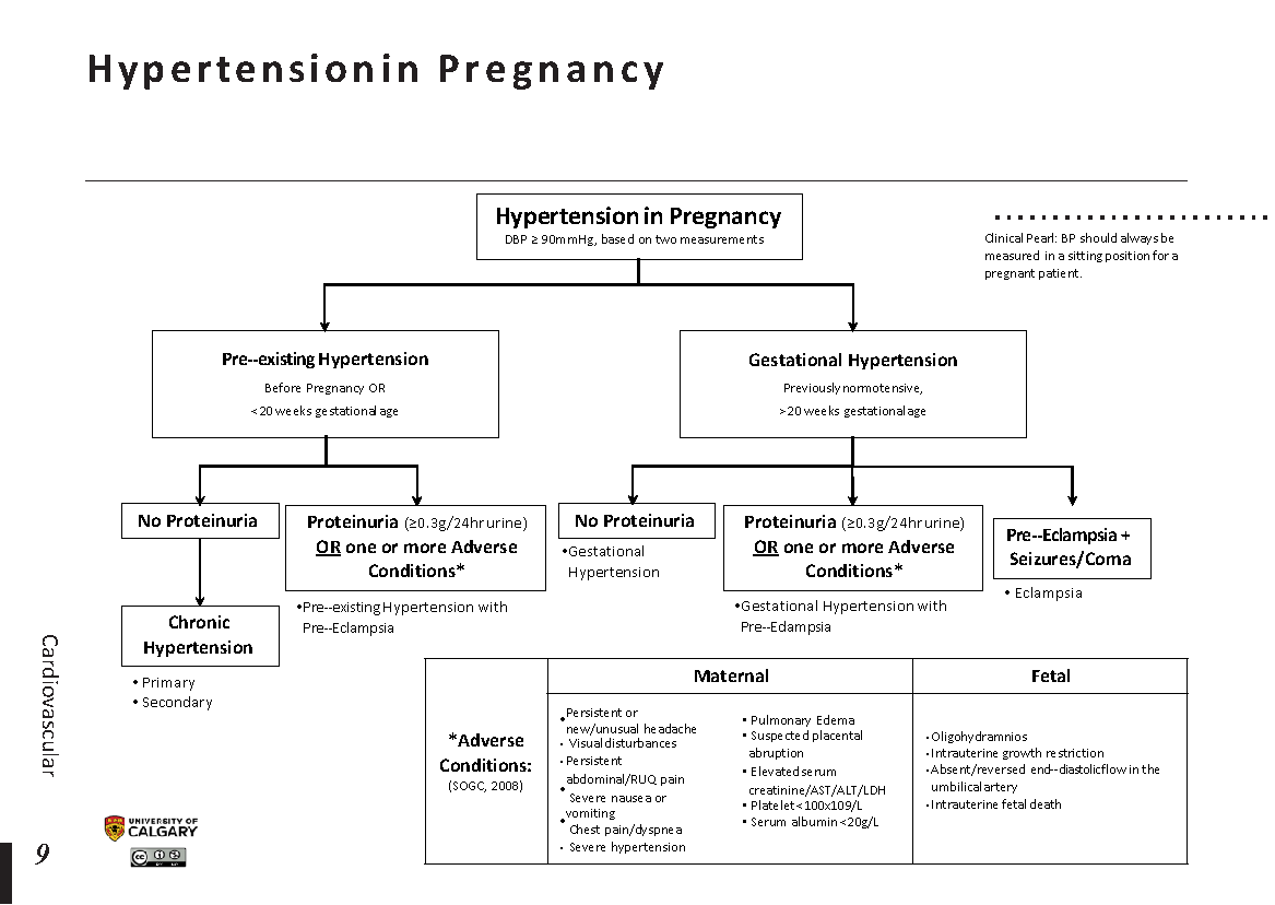 HYPERTENSION IN PREGNANCY Scheme