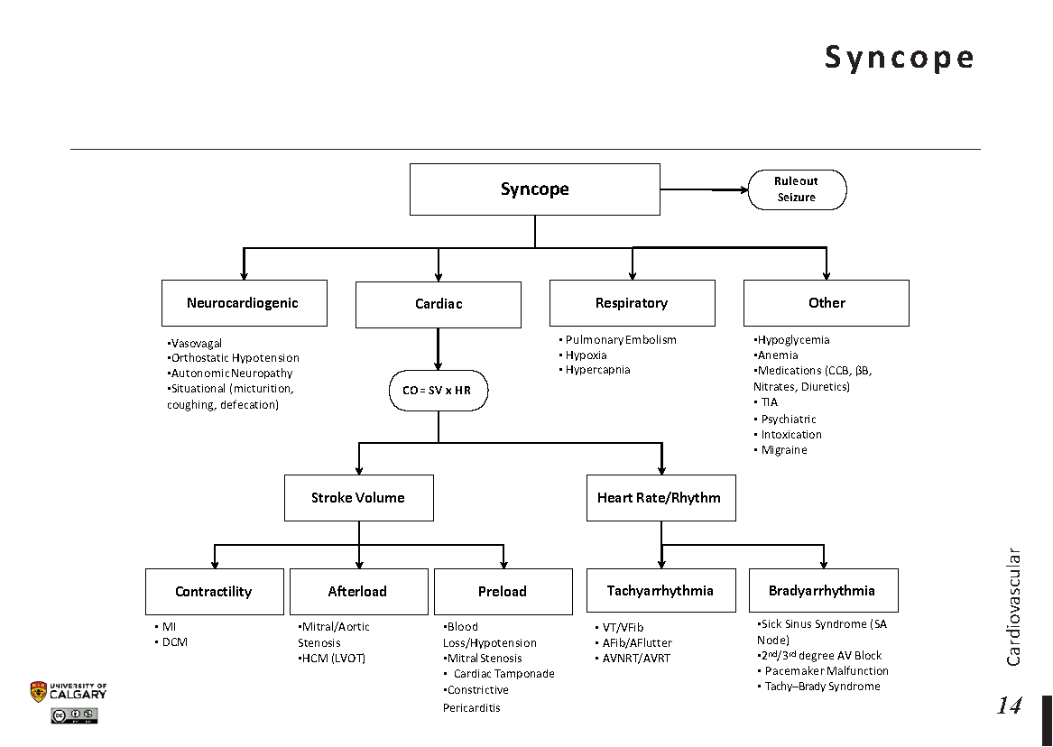 SYNCOPE Scheme