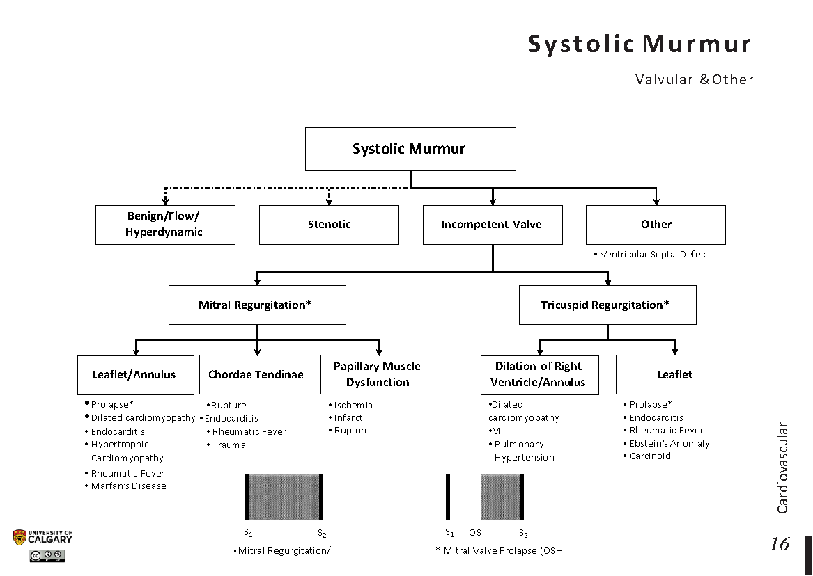SYSTOLIC MURMUR: Valvular & Other Scheme
