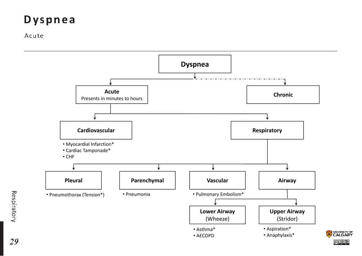 DYSPNEA: Acute - Blackbook : Blackbook