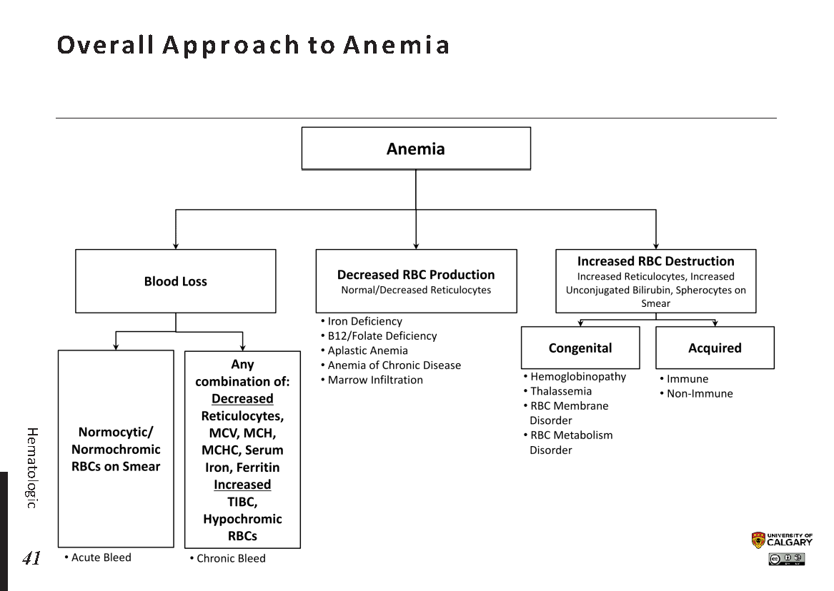 Overall Approach to Anemia Scheme