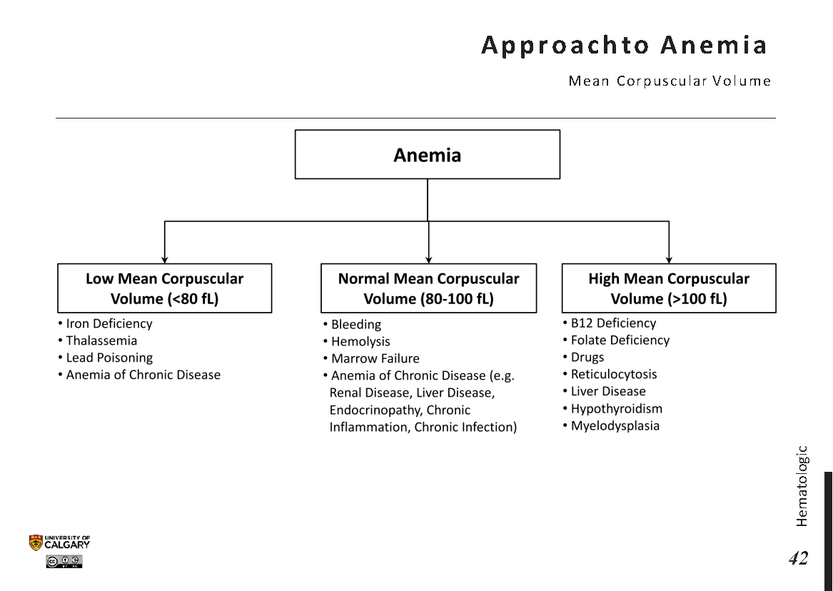 APPROACH TO ANEMIA: Mean Corpuscular Volume Scheme