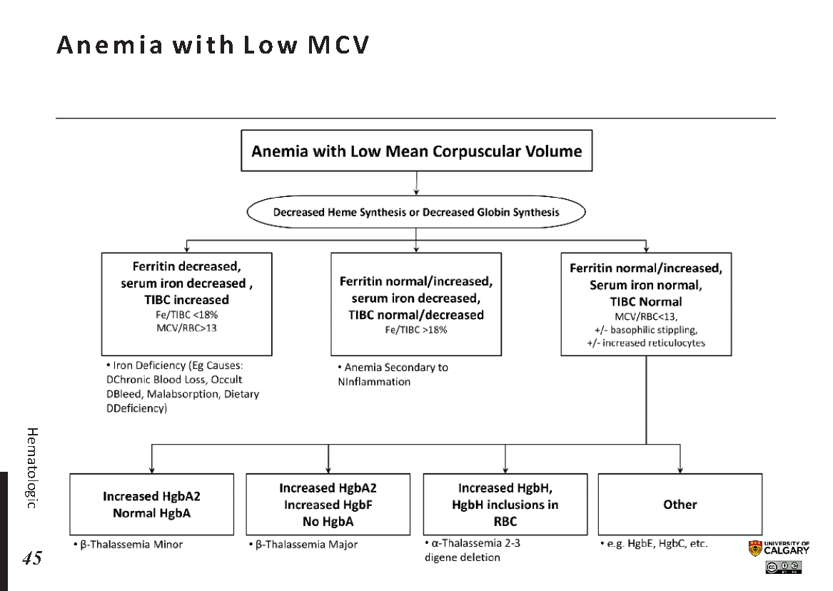 Anemia Mcv Chart