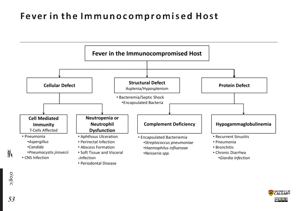 FEVER IN THE IMMUNOCOMPROMISED HOST Scheme