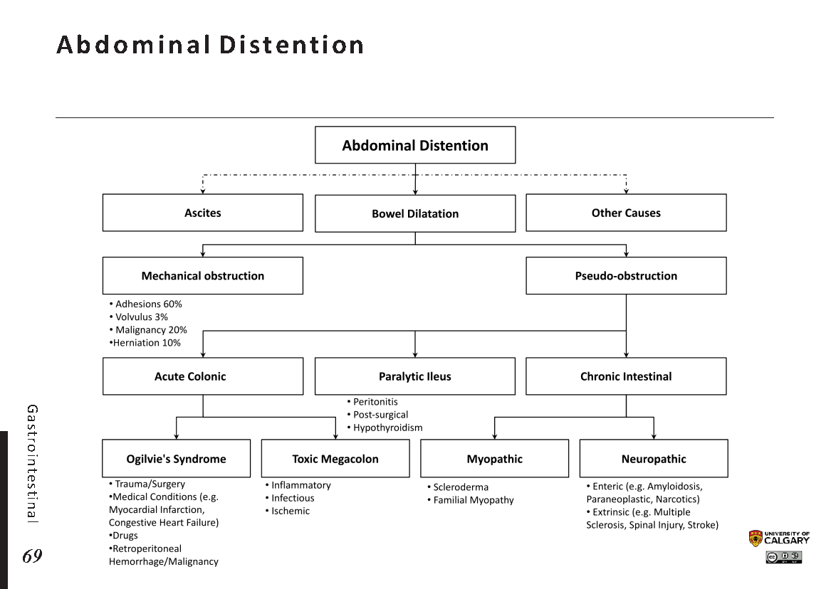 ABDOMINAL DISTENTION Scheme