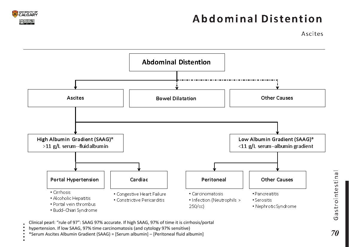 ABDOMINAL DISTENTION: Ascites Scheme