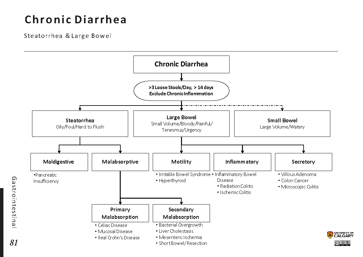 CHRONIC DIARRHEA: Steatorrhea & Large Bowel Scheme
