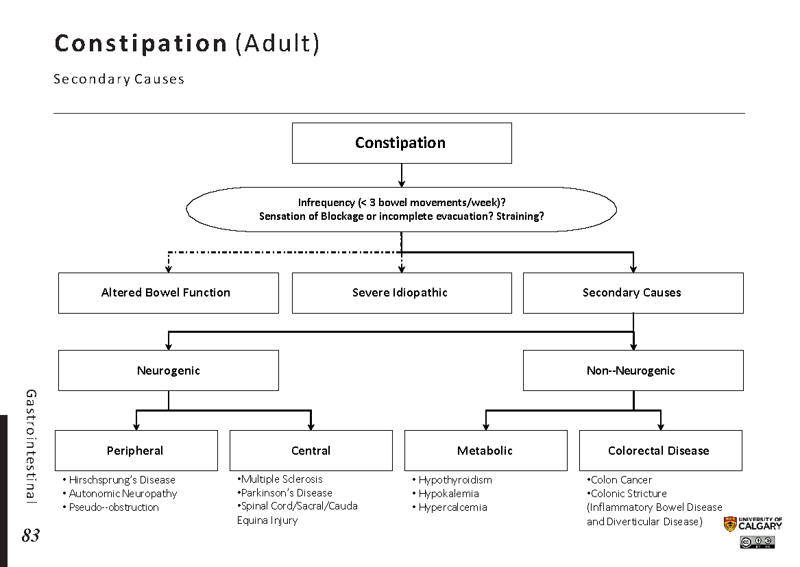 CONSTIPATION (ADULT): Secondary Causes Scheme