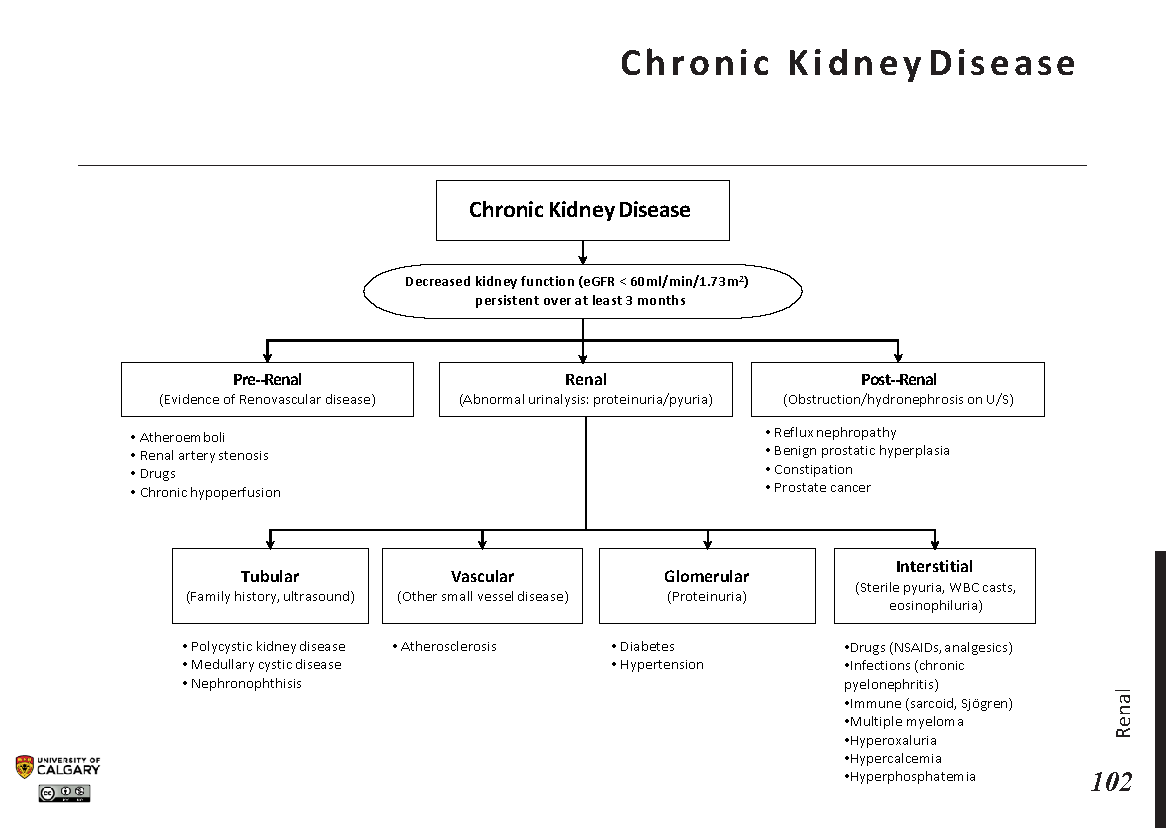 CHRONIC KIDNEY DISEASE Scheme