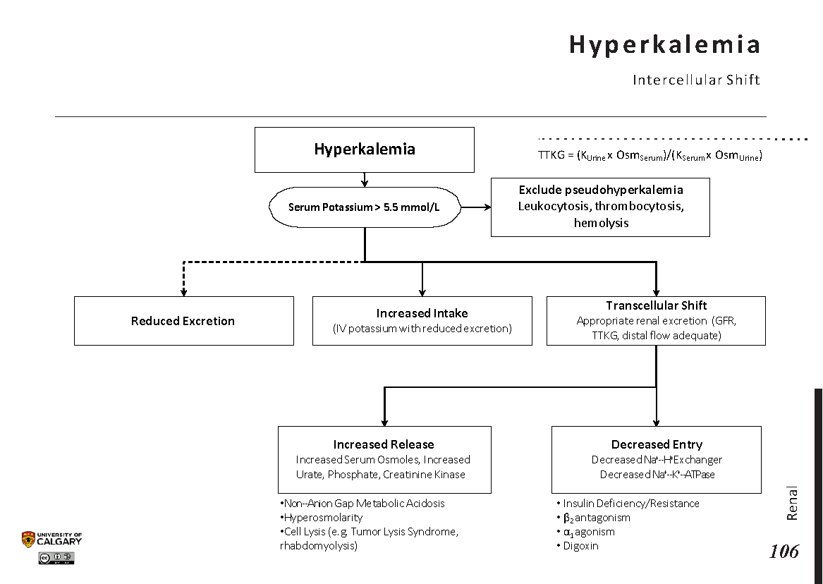 HYPERKALEMIA: Intracellular Shift Scheme