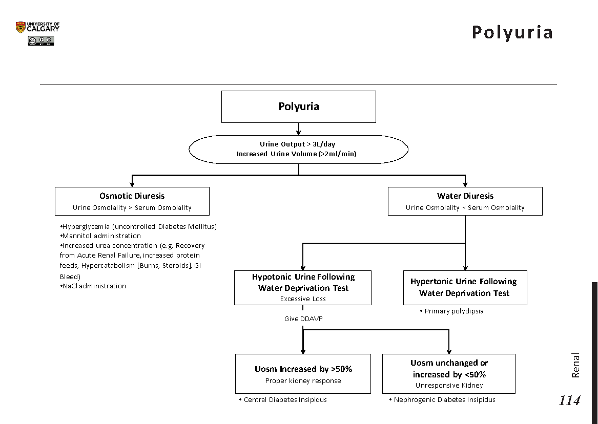 POLYURIA Scheme