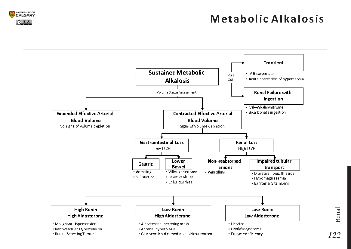 METABOLIC ALKALOSIS Scheme