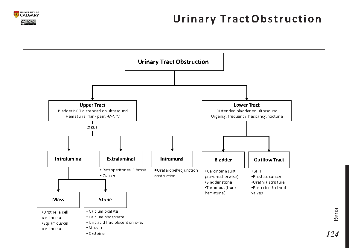 URINARY TRACT OBSTRUCTION Scheme