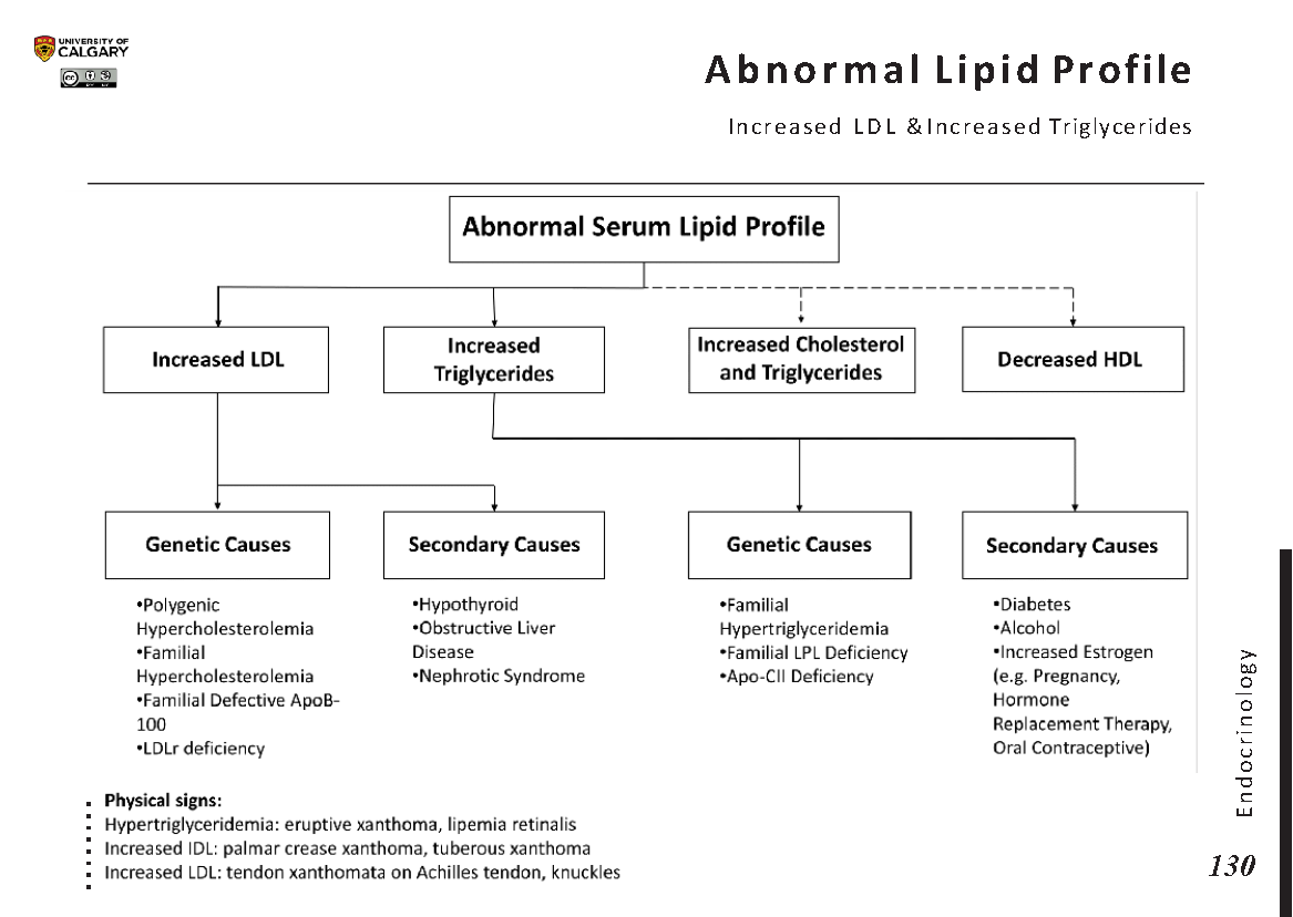 ABNORMAL LIPID PROFILE: Increased LDL & Increased Triglycerides Scheme