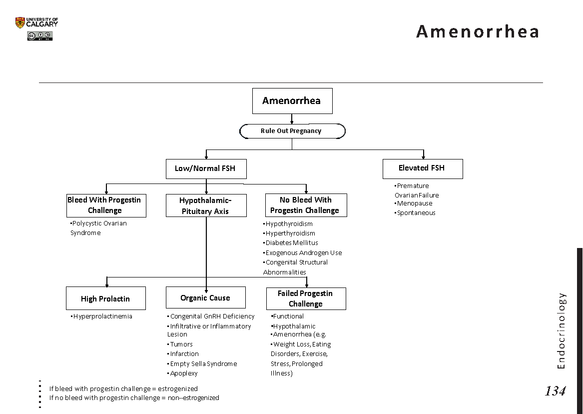 AMENORRHEA Scheme