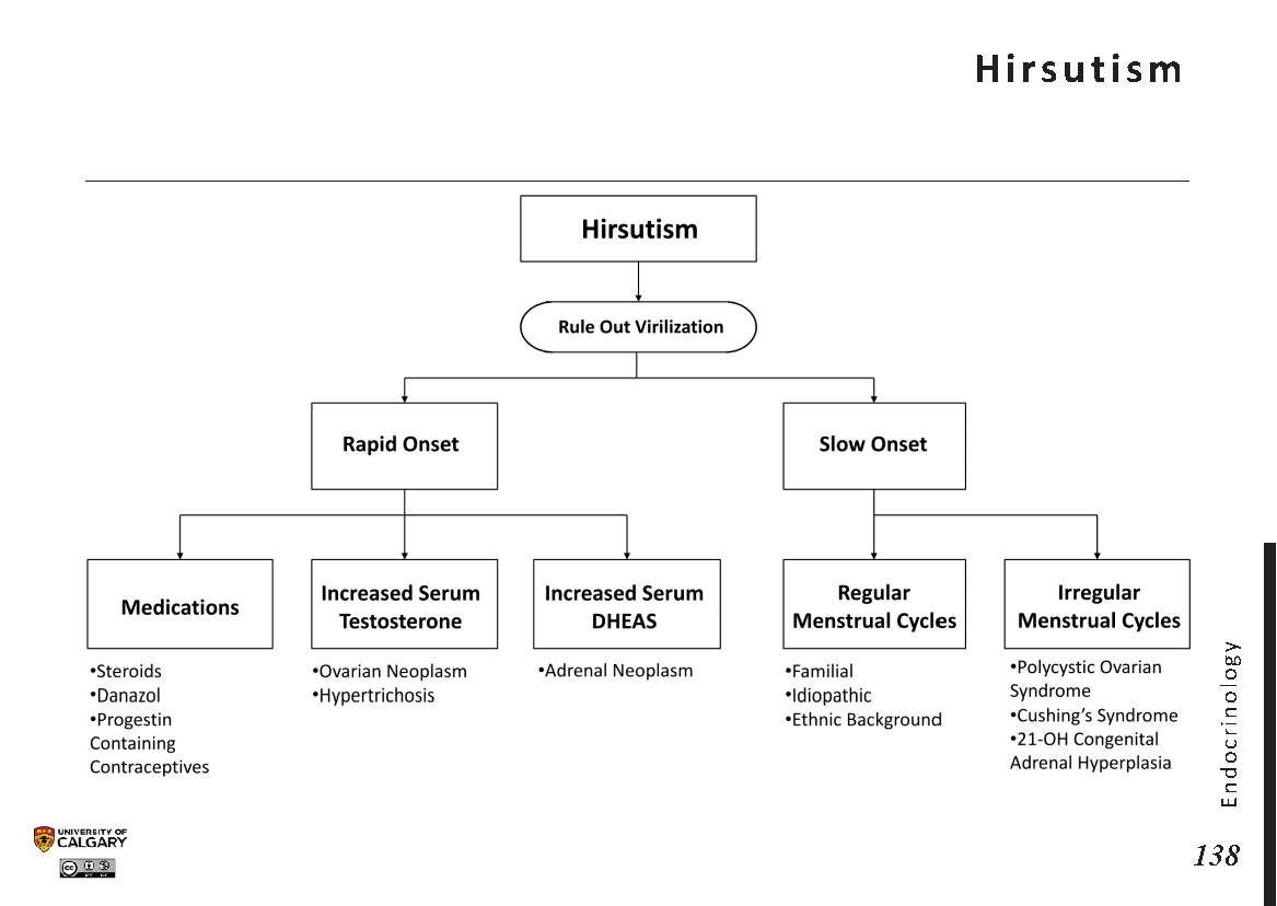 HIRSUTISM Scheme