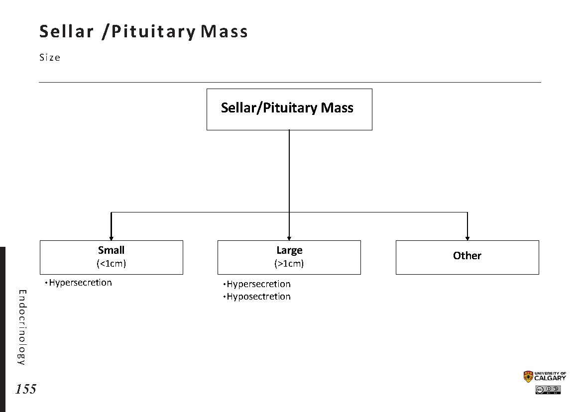SELLAR/PITUITARY MASS: Size Scheme