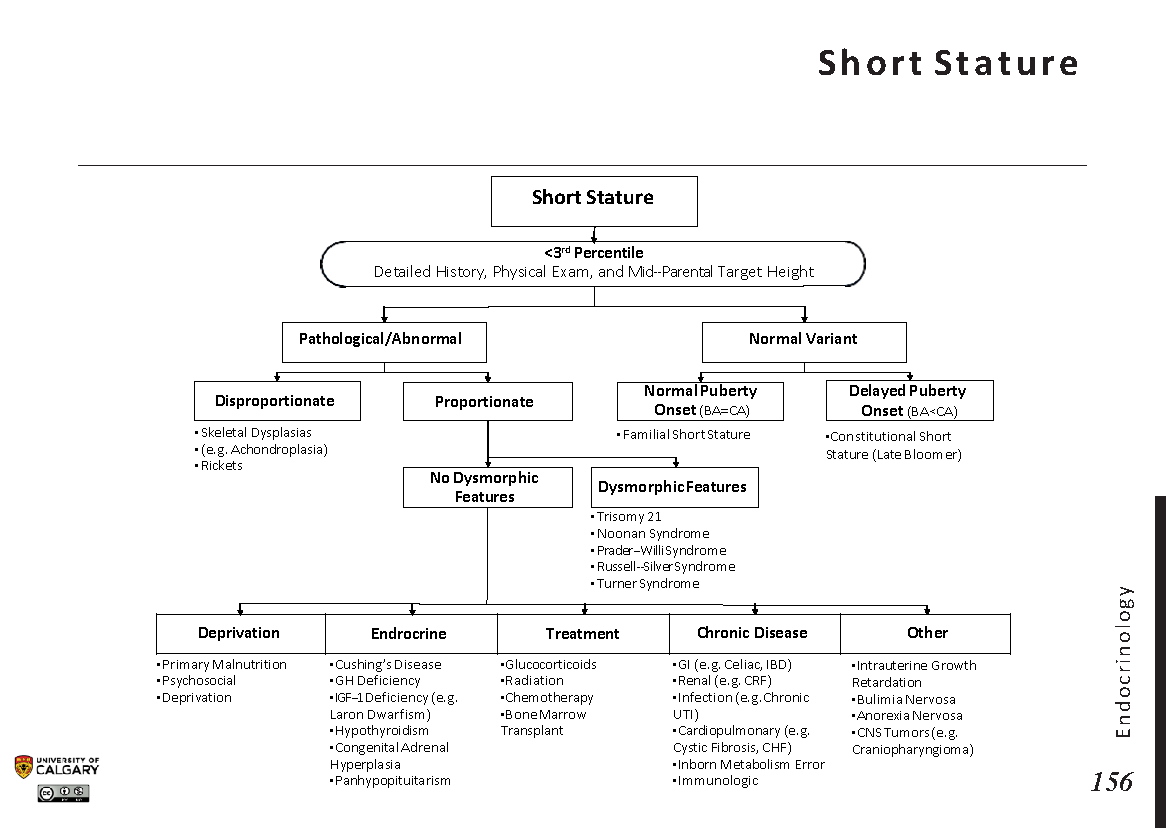 SHORT STATURE Scheme