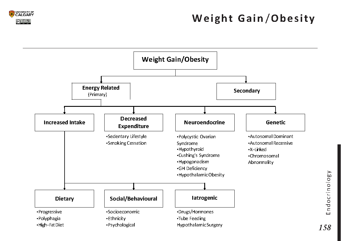 WEIGHT GAIN/OBESITY Scheme