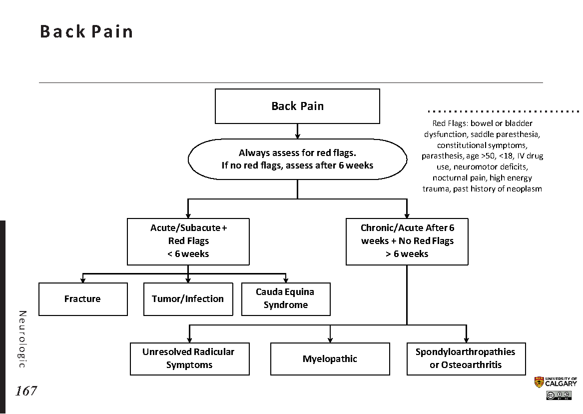 BACK PAIN Scheme