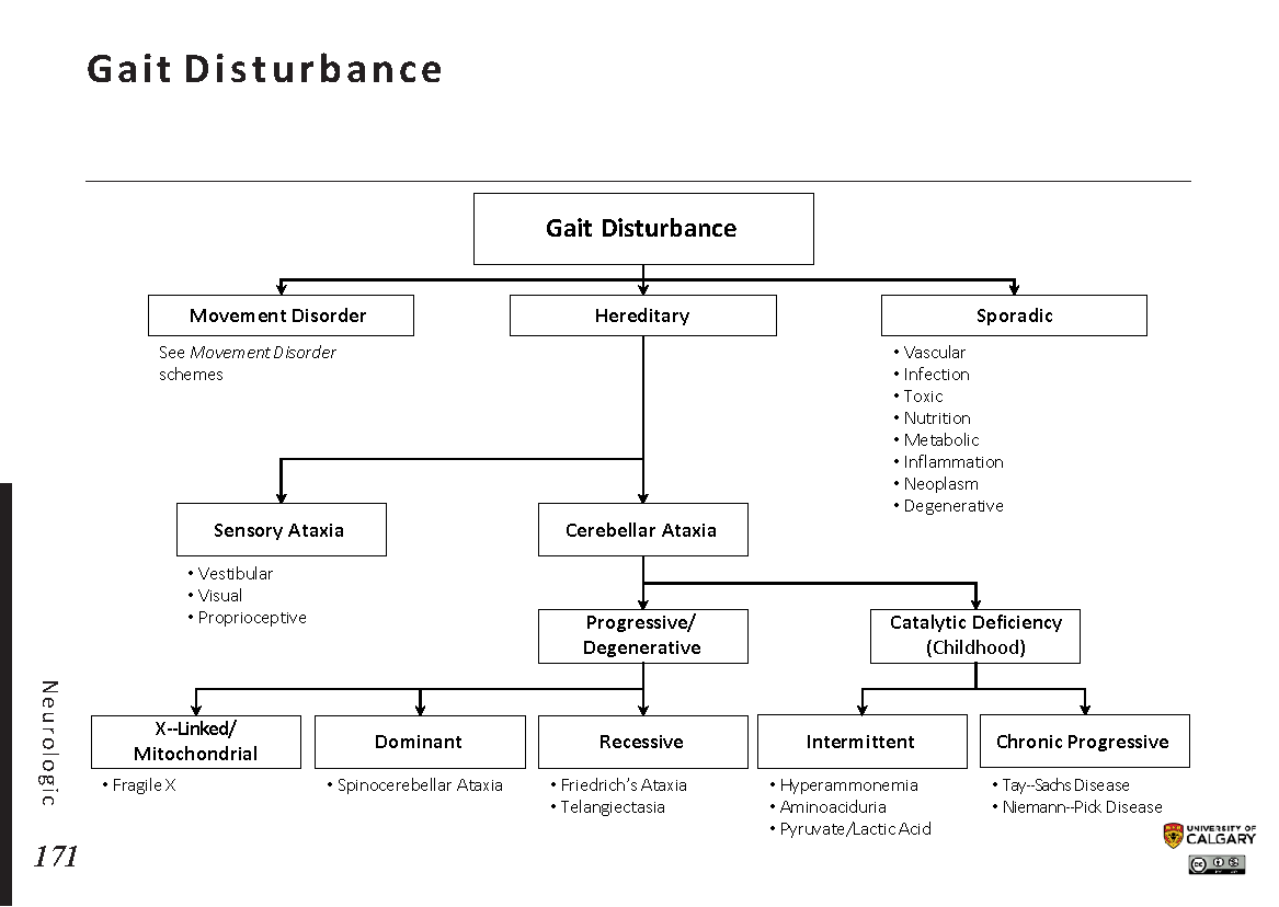 GAIT DISTURBANCE Scheme