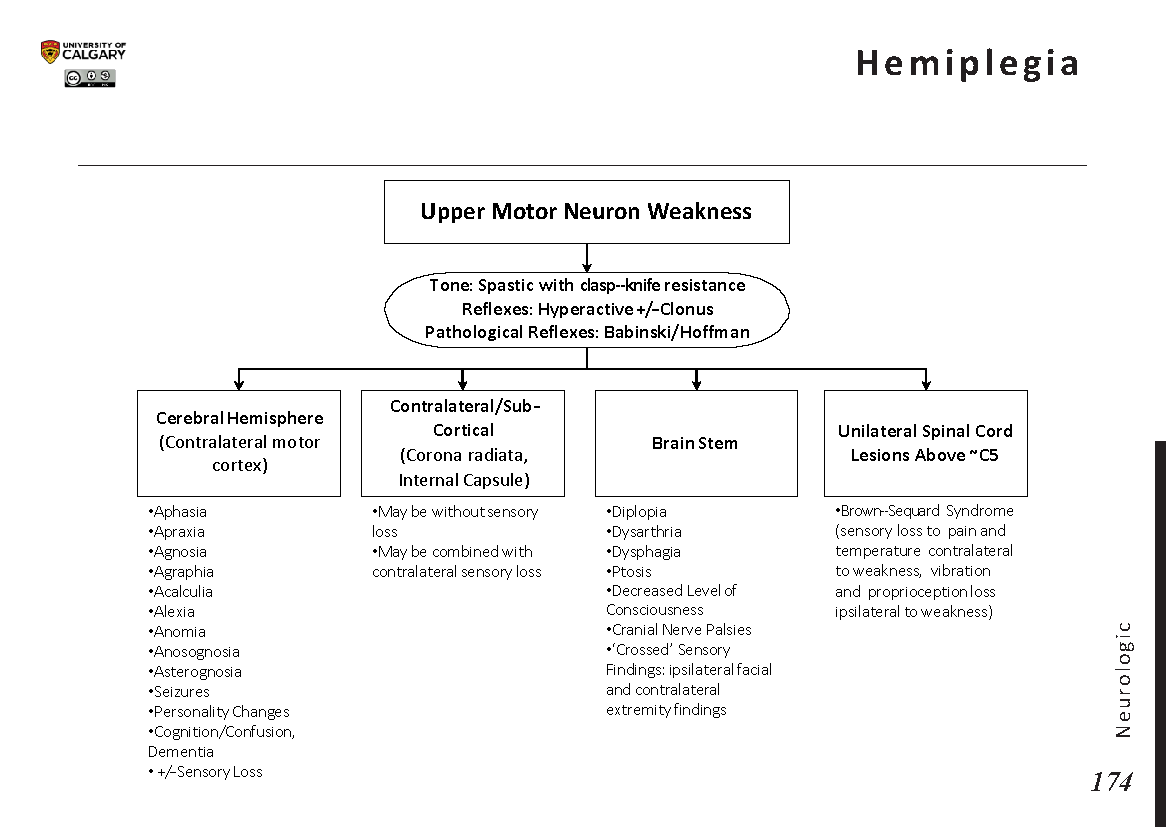 Hemiplegia Hemiplegia Symptoms,
