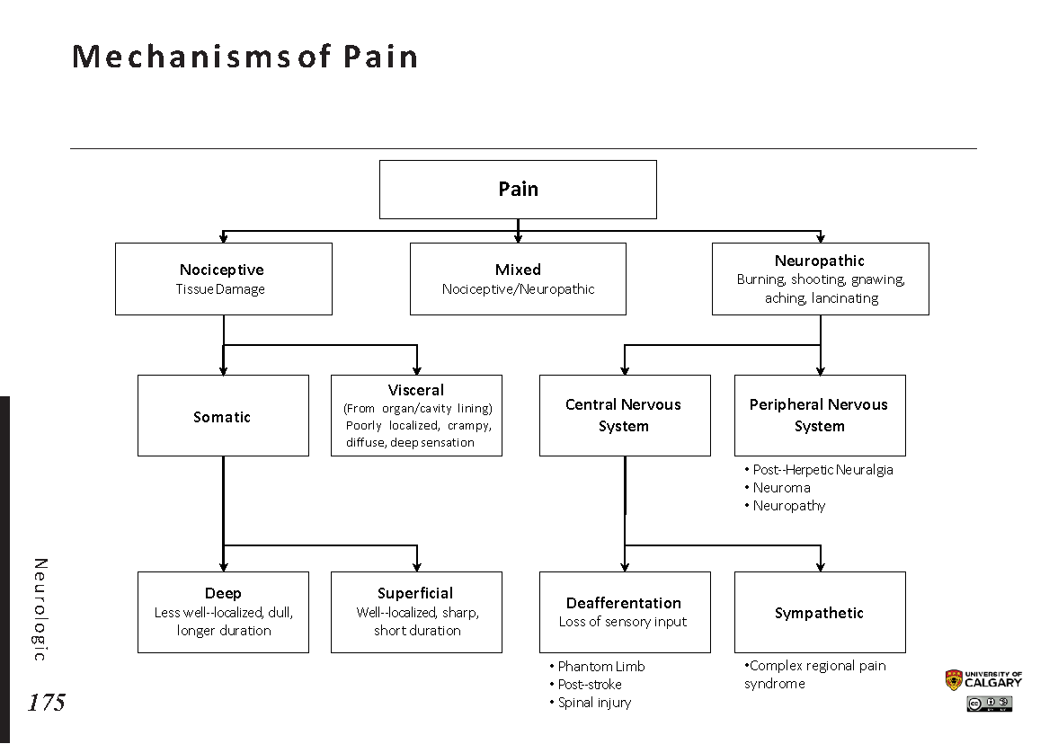 MECHANISMS OF PAIN Scheme