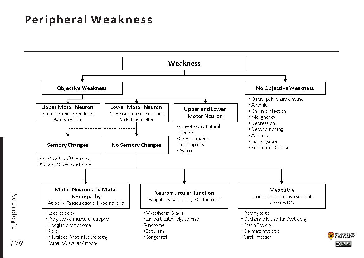 PERIPHERAL WEAKNESS Scheme