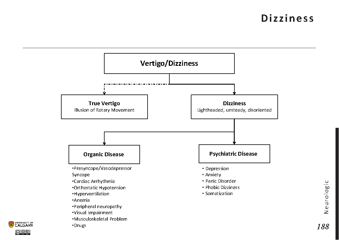 DIZZINESS: Dizziness Scheme
