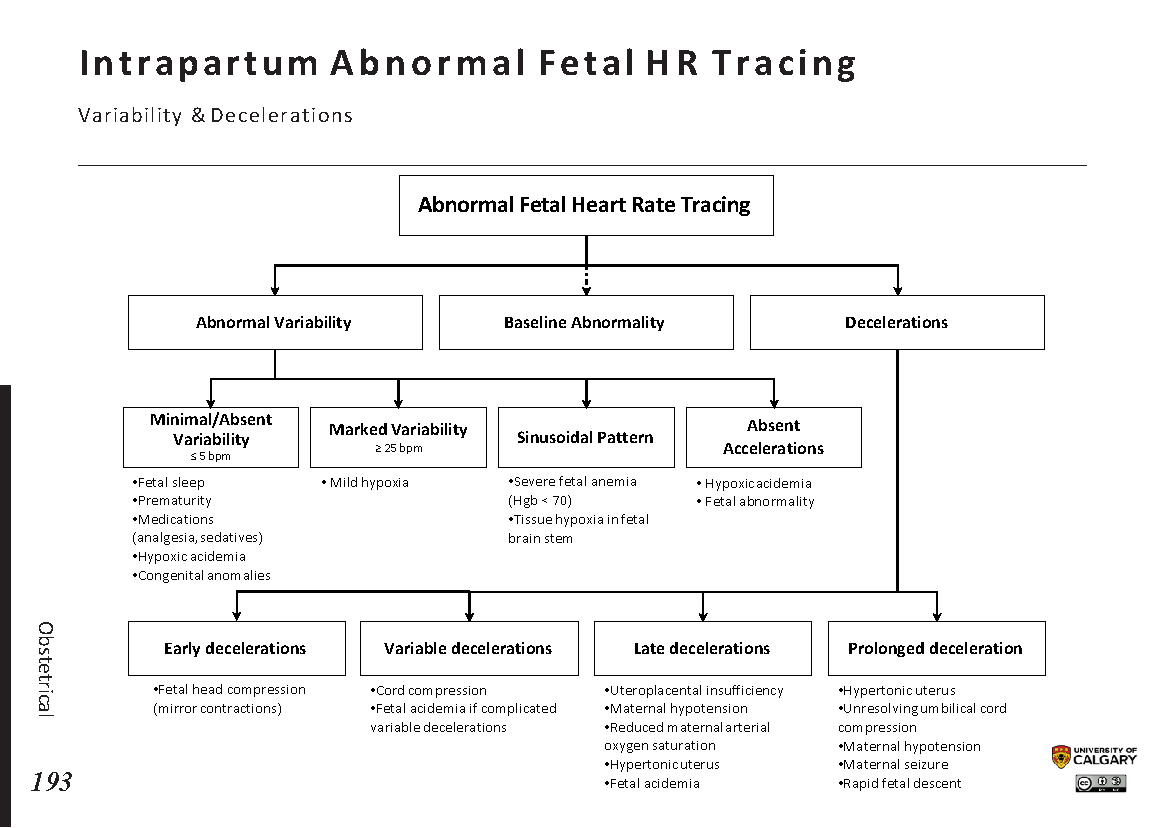INTRAPARTUM ABNORMAL FETAL HEART RATE TRACING: Variability & Decelerations Scheme