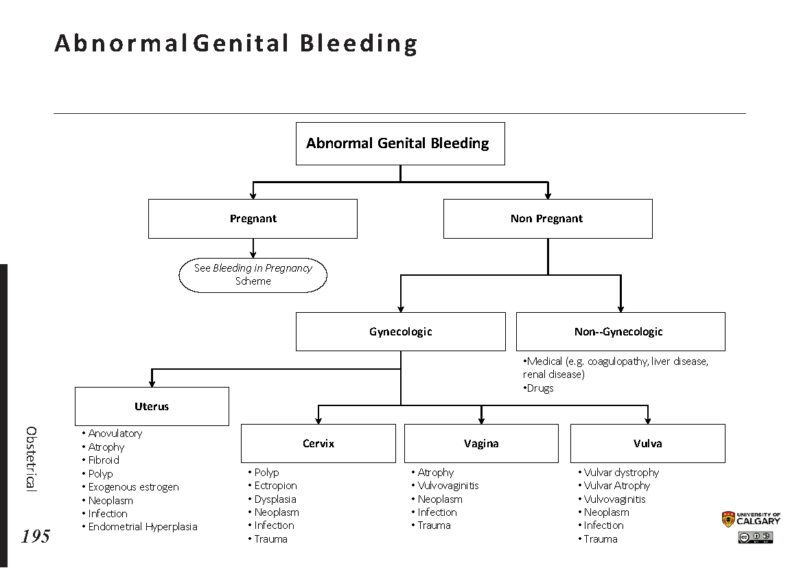 ABNORMAL GENITAL BLEEDING Scheme