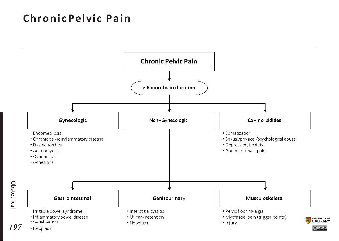 CHRONIC PELVIC PAIN Scheme