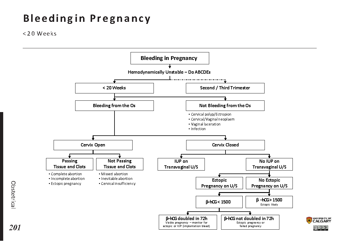BLEEDING IN PREGNANCY: <20 Weeks Scheme