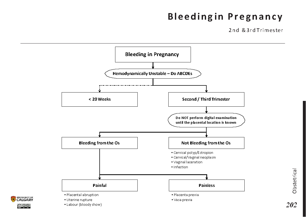 BLEEDING IN PREGNANCY: 2nd and 3rd Trimesters Scheme