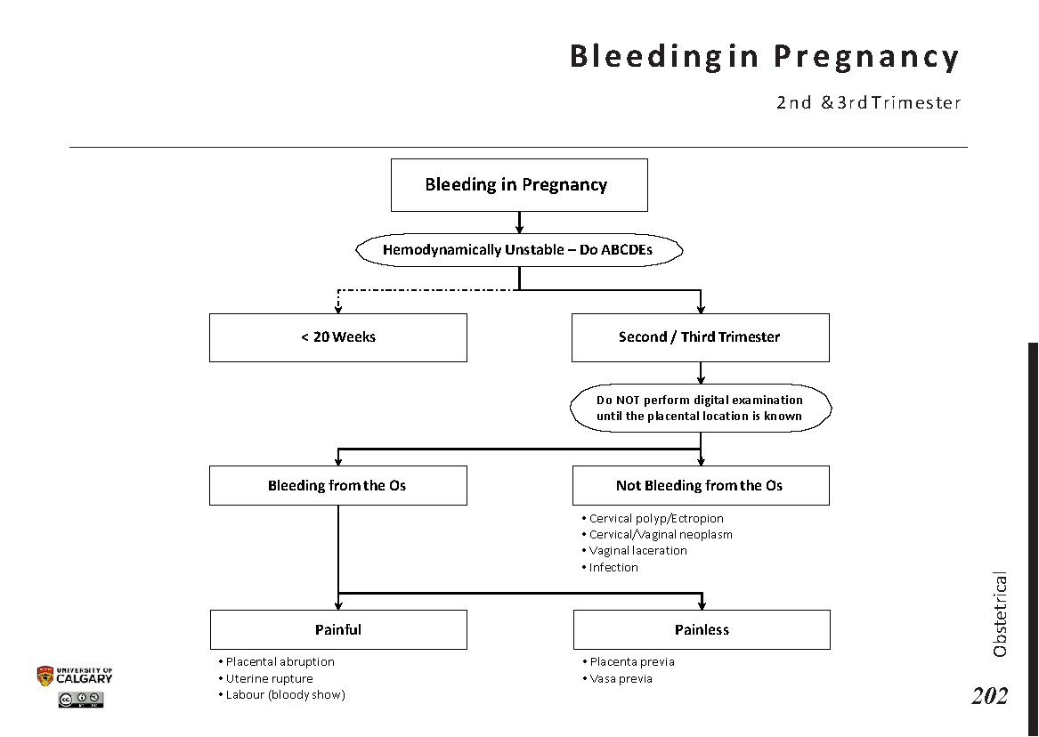 BLEEDING IN PREGNANCY: 2nd and 3rd Trimesters - Blackbook : Blackbook