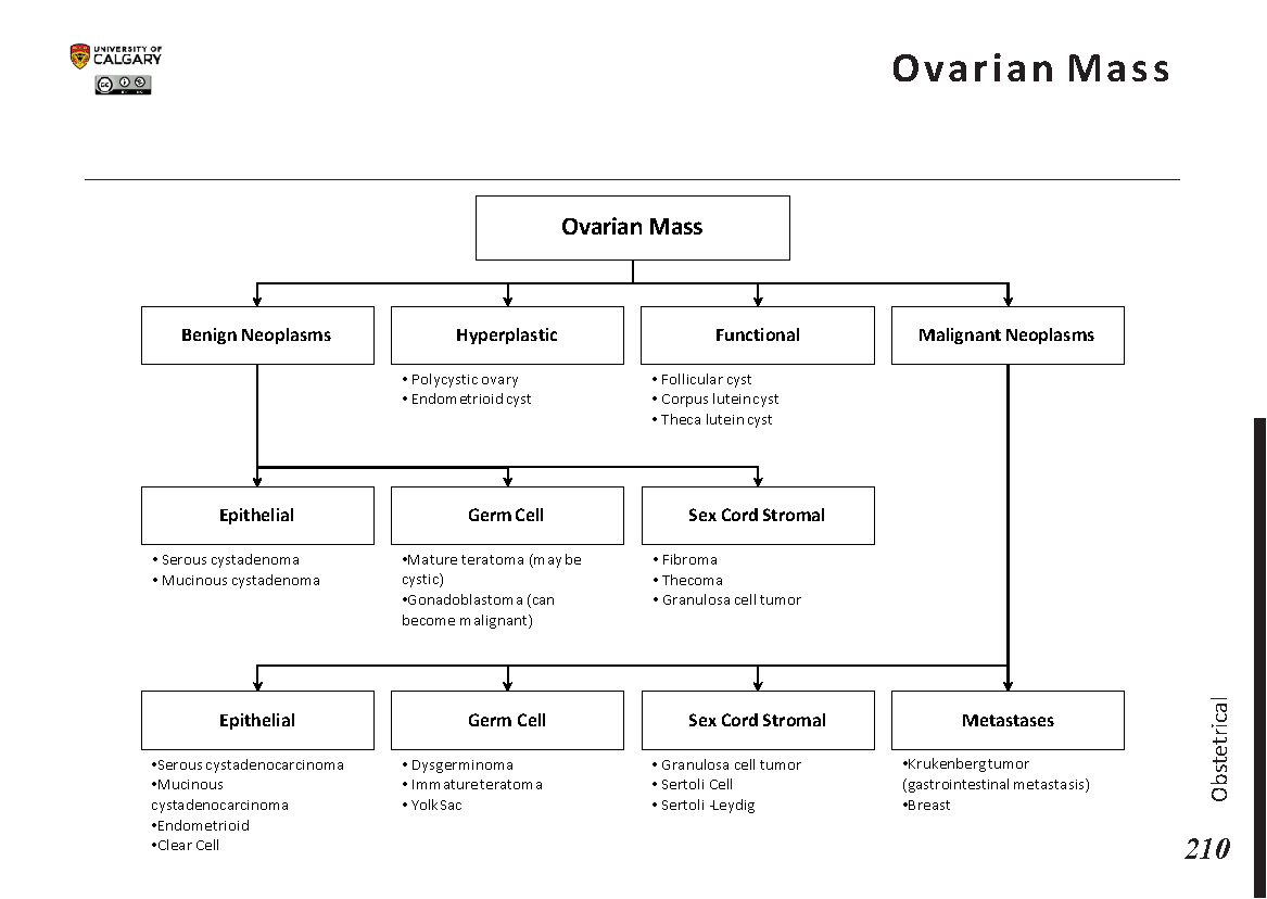 OVARIAN MASS Scheme