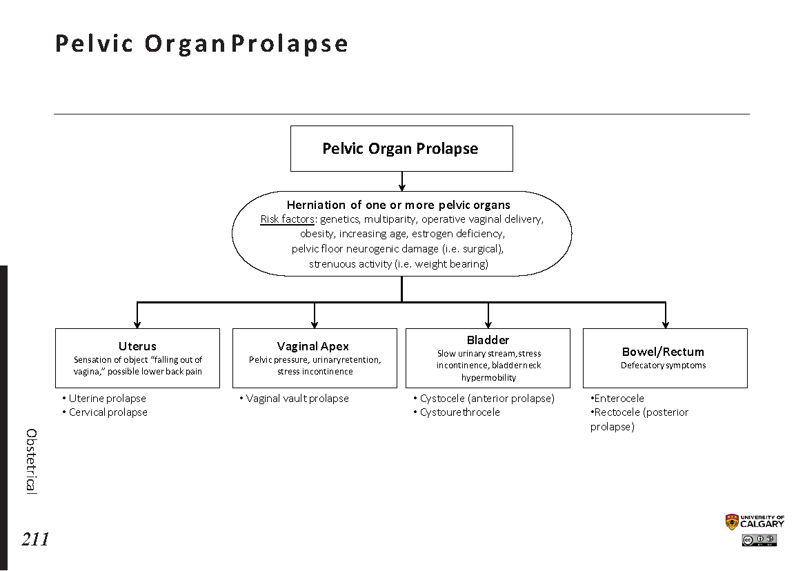 PELVIC ORGAN PROLAPSE Scheme