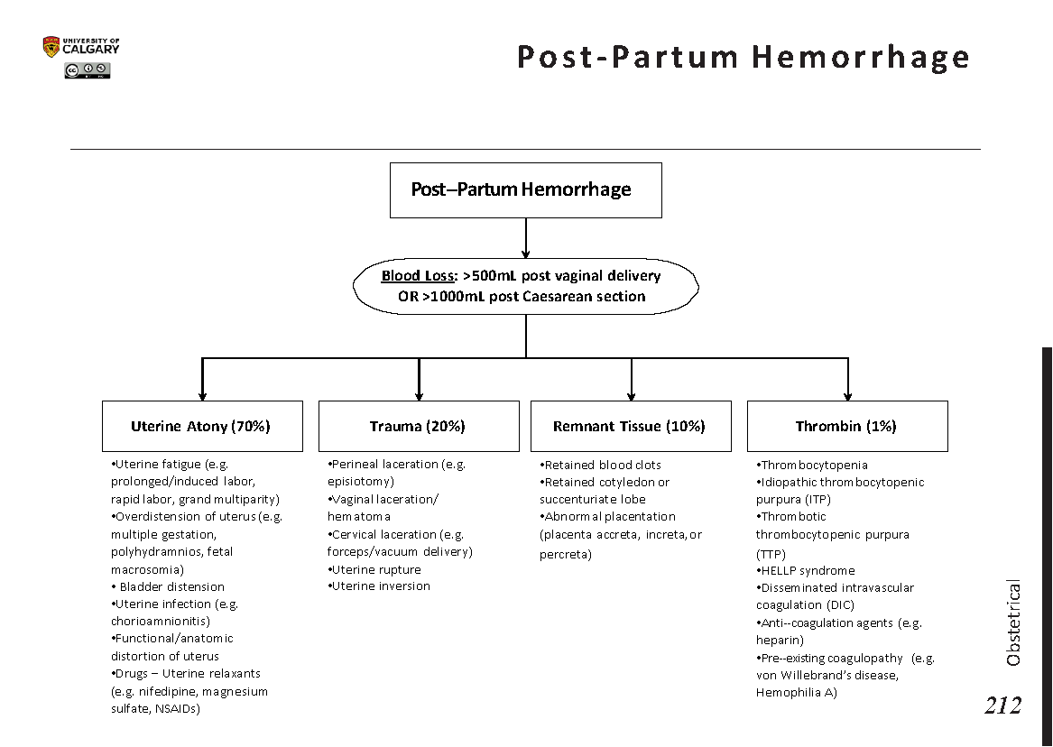 POST-PARTUM HEMORRHAGE Scheme