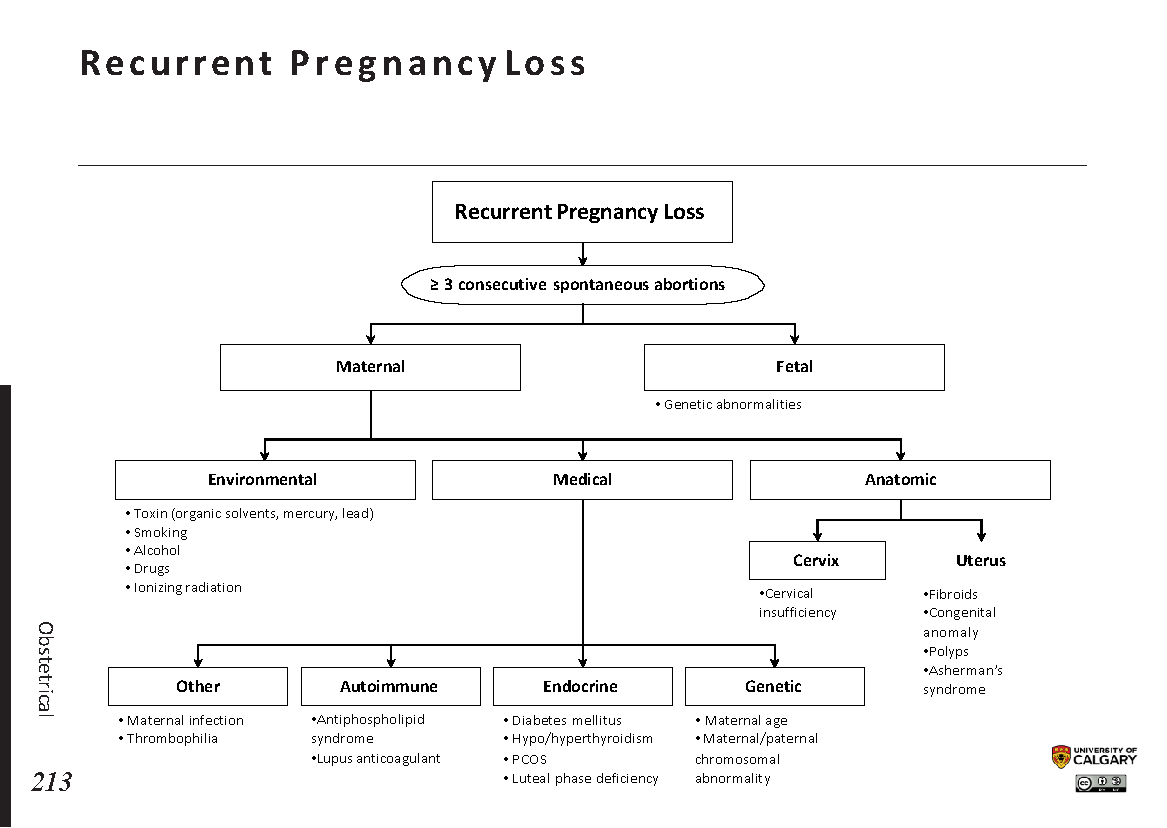 RECURRENT PREGNANCY LOSS Scheme