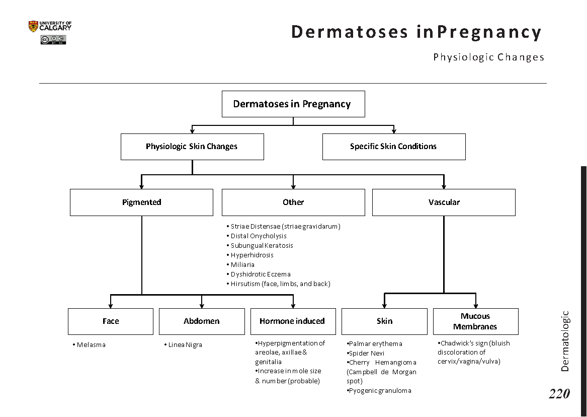 DERMATOSES IN PREGNANCY: Physiologic Changes Scheme