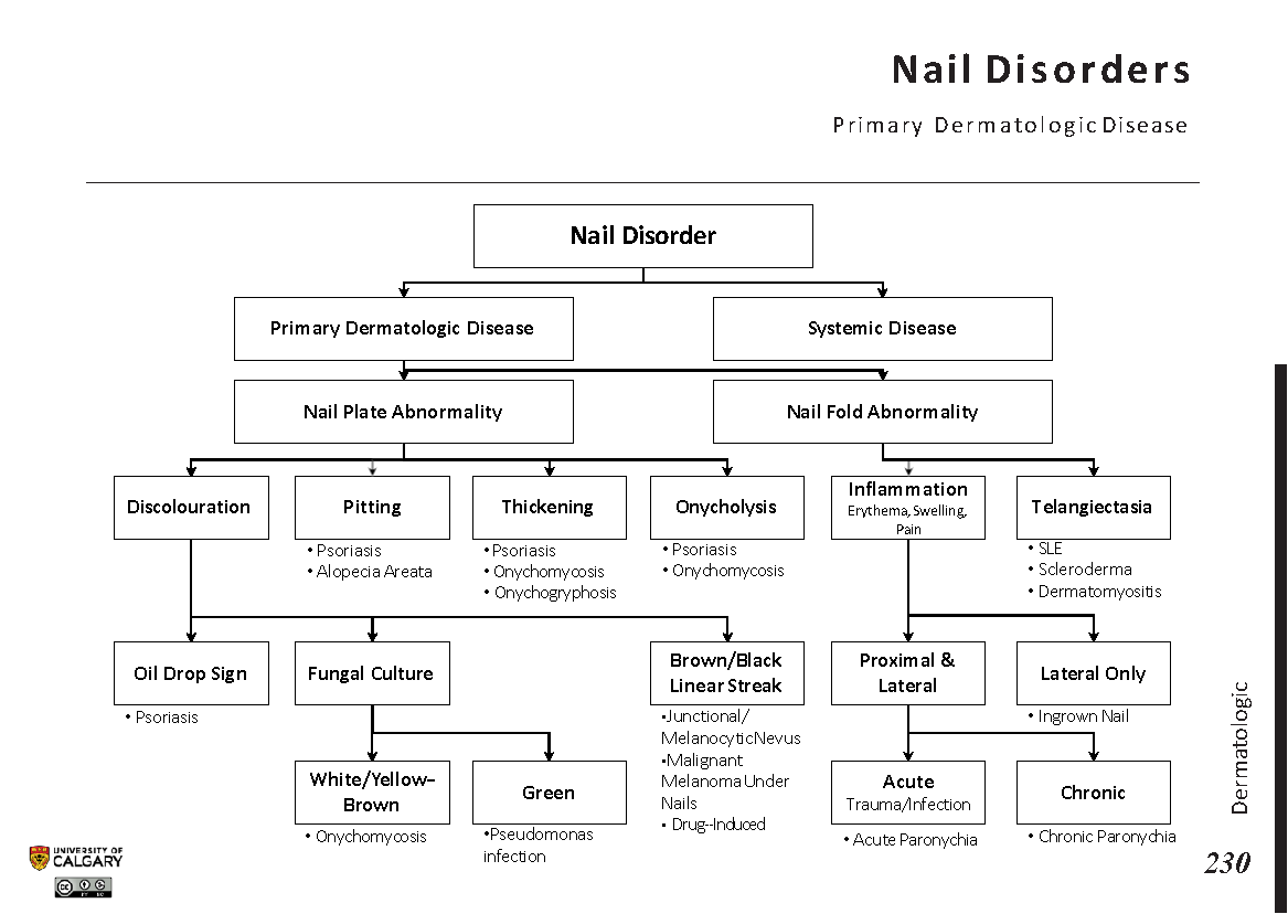 NAIL DISORDERS: Primary Dermatologic Disease Scheme