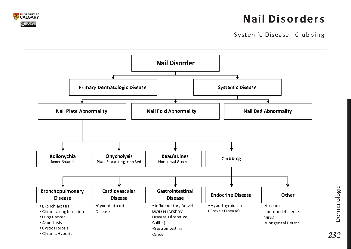 NAIL DISORDERS: Systemic Disease – Clubbing Scheme