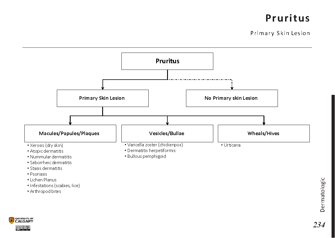 PRURITUS: Primary Skin Lesion Scheme