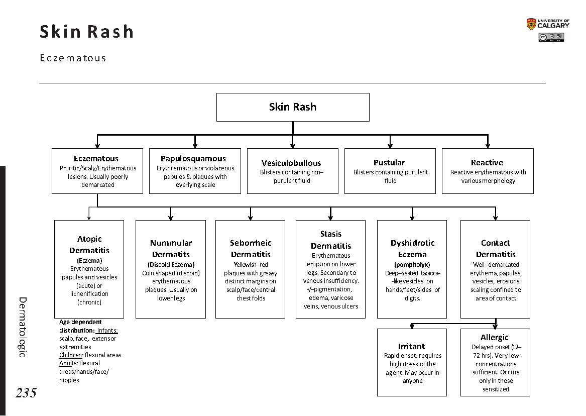 SKIN RASH: Eczematous Scheme