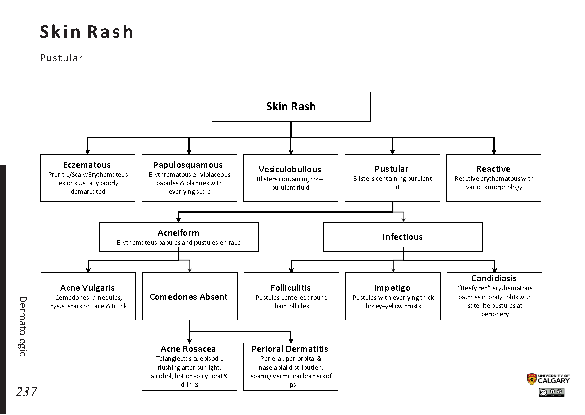 SKIN RASH: Pustular Scheme
