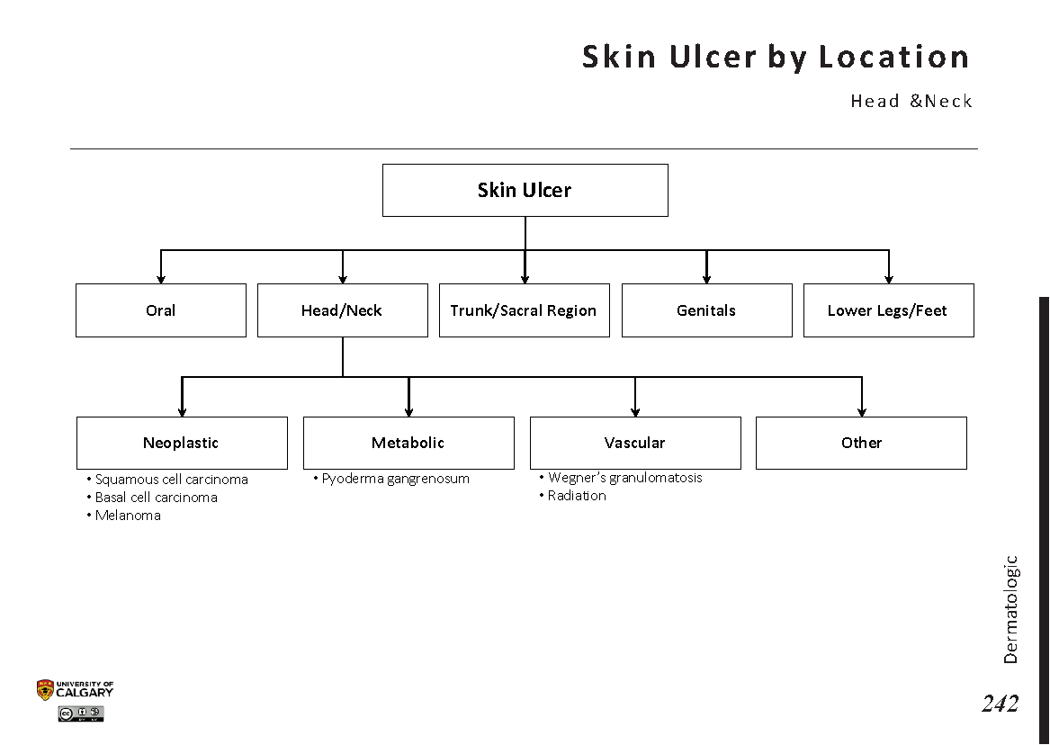 SKIN ULCER BY LOCATION: Head and Neck Scheme