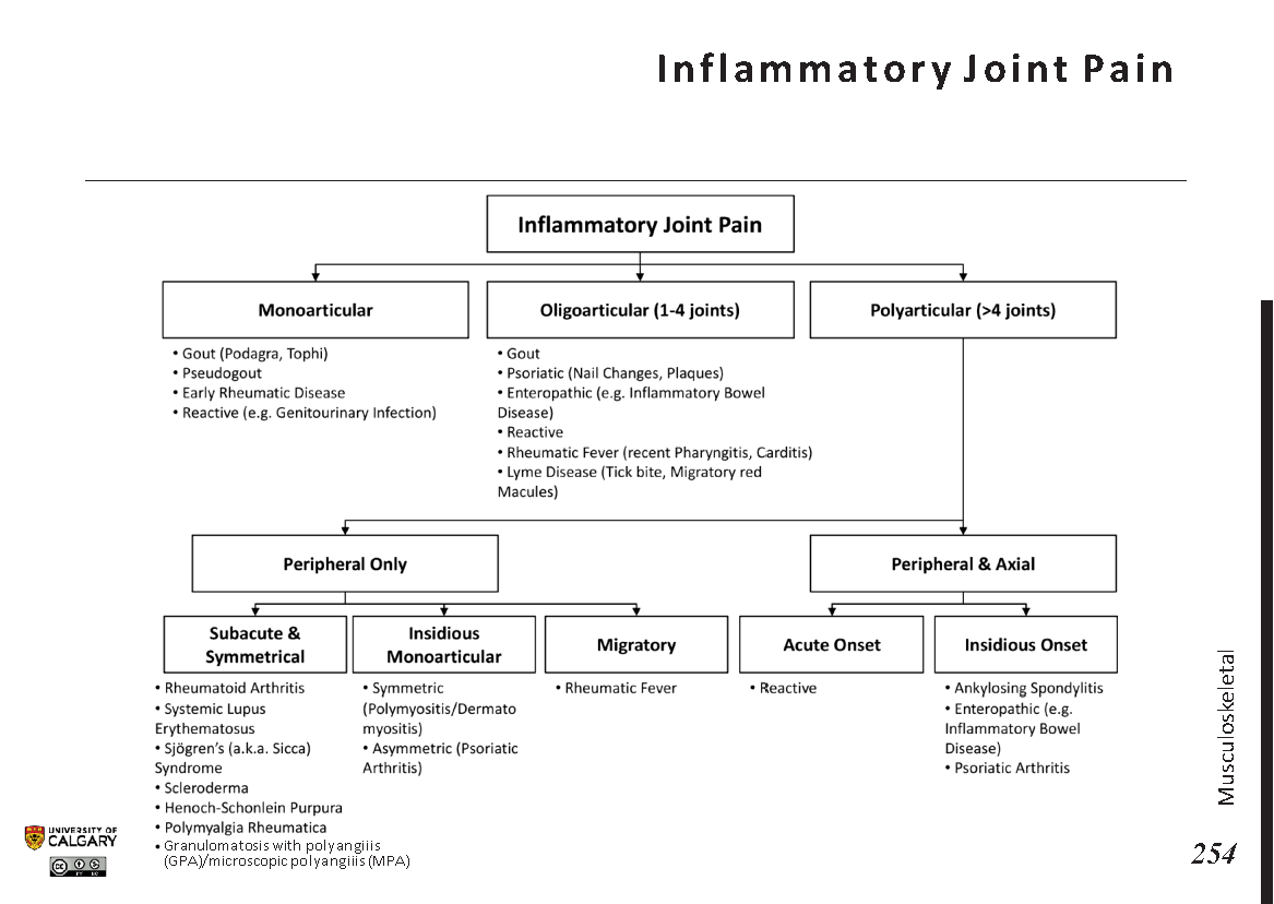 INFLAMMATORY JOINT PAIN Scheme