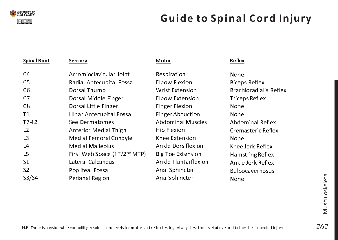 GUIDE TO SPINAL CORD INJURY Scheme
