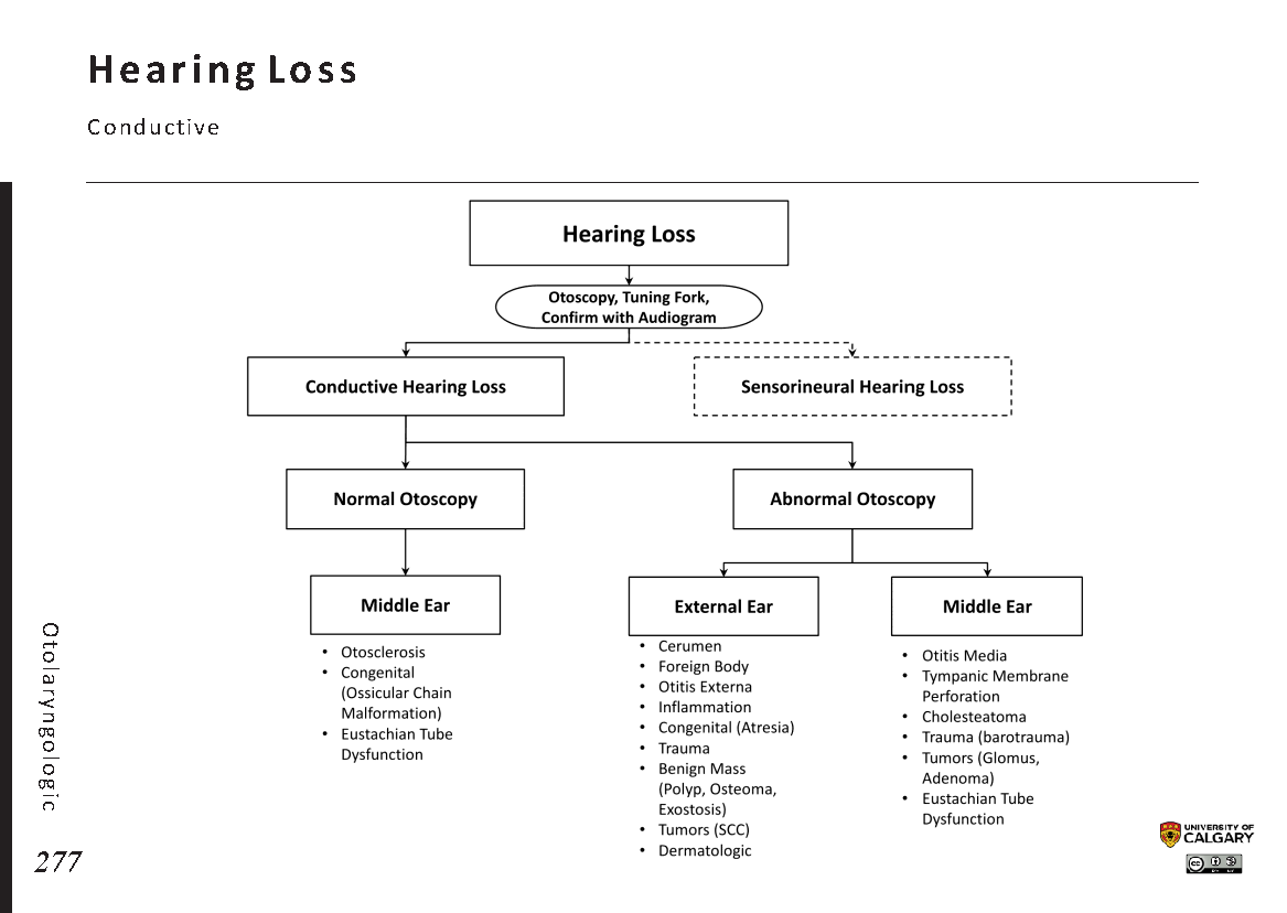 HEARING LOSS: Conductive Scheme